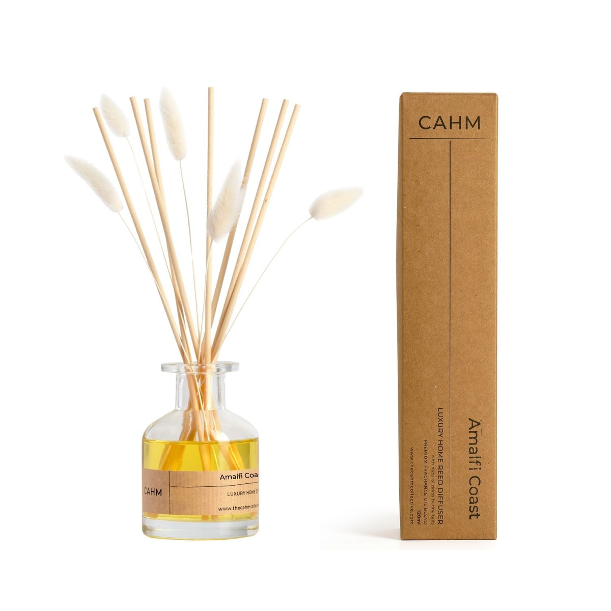 Amalfi Coast Reed Diffuser - Clear – The CAHM Collective